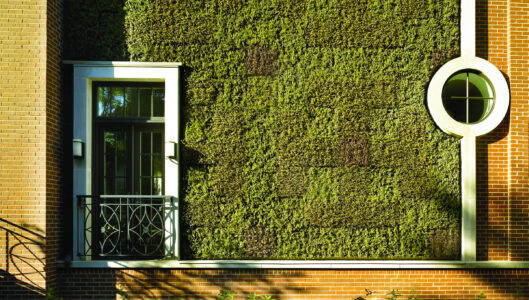 Green Wall